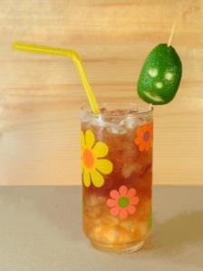 Speedwell SkullcapPC