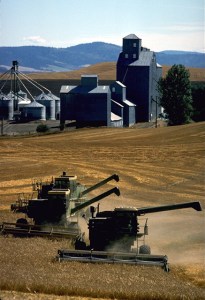 Grain harvesting in Whitman County, Washington 
